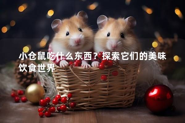 小仓鼠吃什么东西？探索它们的美味饮食世界