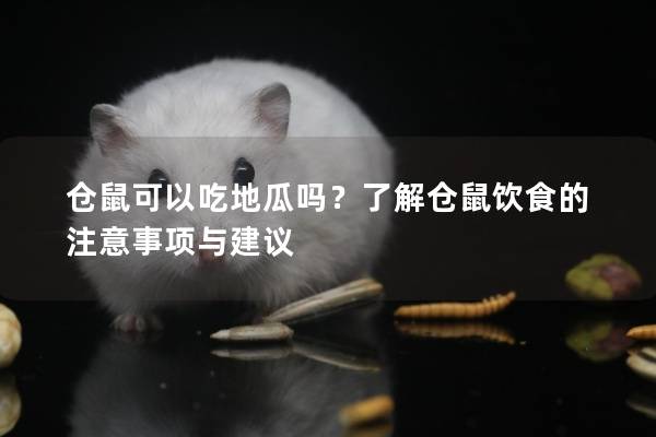 仓鼠可以吃地瓜吗？了解仓鼠饮食的注意事项与建议