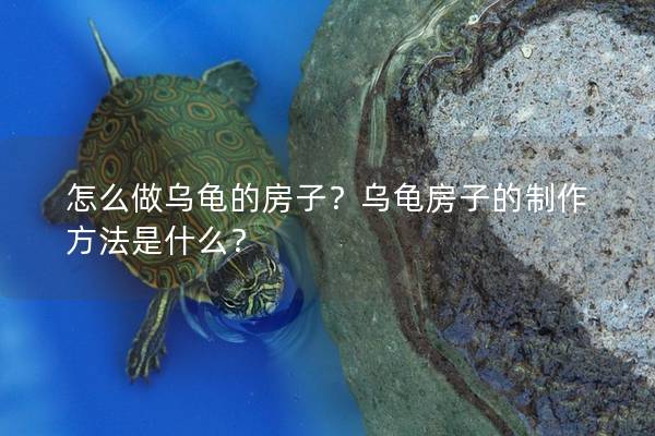 怎么做乌龟的房子？乌龟房子的制作方法是什么？