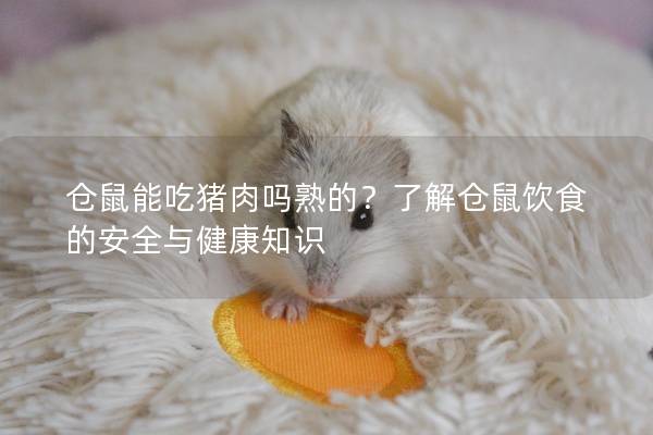 仓鼠能吃猪肉吗熟的？了解仓鼠饮食的安全与健康知识