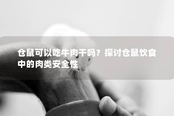 仓鼠可以吃牛肉干吗？探讨仓鼠饮食中的肉类安全性