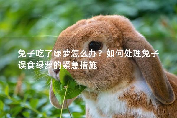 兔子吃了绿萝怎么办？如何处理兔子误食绿萝的紧急措施