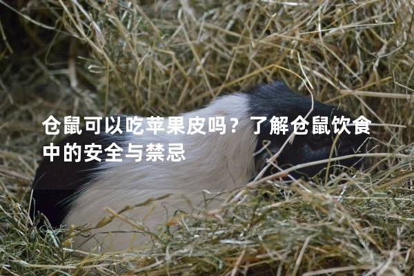 仓鼠可以吃苹果皮吗？了解仓鼠饮食中的安全与禁忌