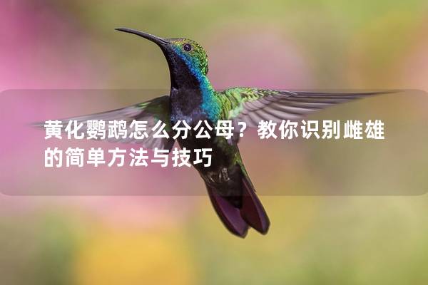 黄化鹦鹉怎么分公母？教你识别雌雄的简单方法与技巧