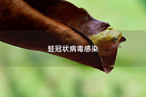 蛙冠状病毒感染