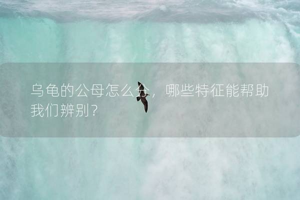 乌龟的公母怎么分，哪些特征能帮助我们辨别？
