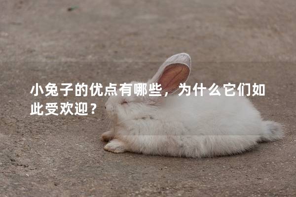 小兔子的优点有哪些，为什么它们如此受欢迎？