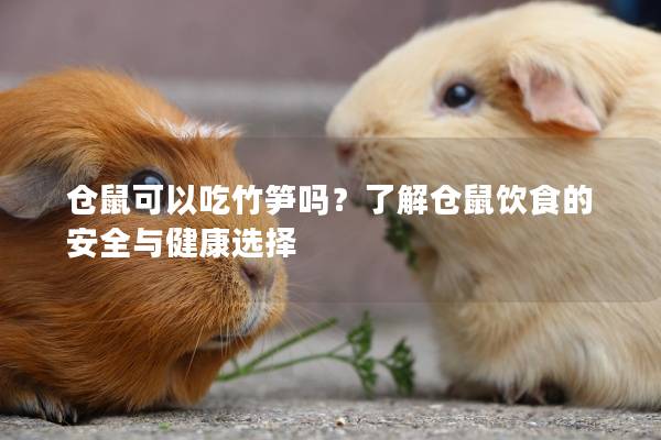 仓鼠可以吃竹笋吗？了解仓鼠饮食的安全与健康选择