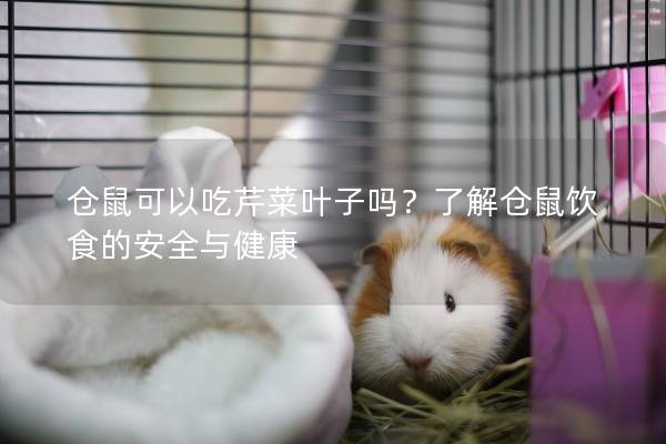 仓鼠可以吃芹菜叶子吗？了解仓鼠饮食的安全与健康