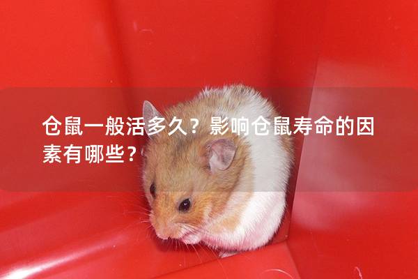 仓鼠一般活多久？影响仓鼠寿命的因素有哪些？