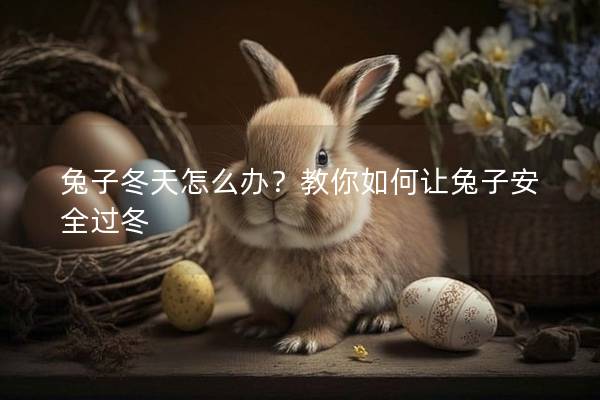 兔子冬天怎么办？教你如何让兔子安全过冬