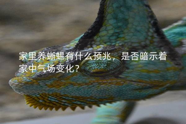 家里养蜥蜴有什么预兆，是否暗示着家中气场变化？