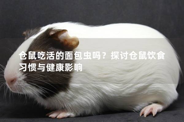 仓鼠吃活的面包虫吗？探讨仓鼠饮食习惯与健康影响