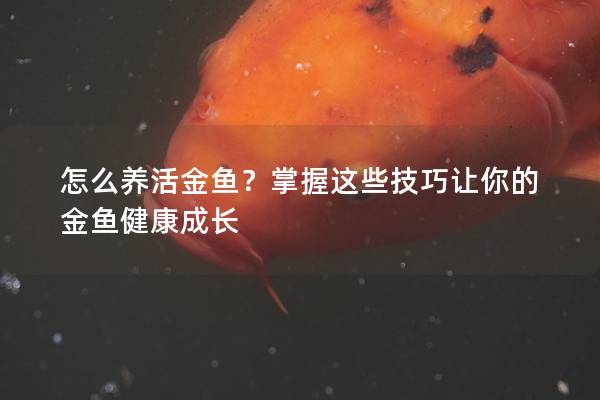 怎么养活金鱼？掌握这些技巧让你的金鱼健康成长