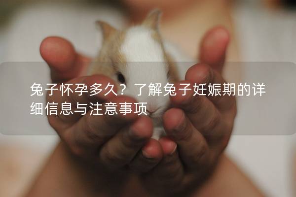 兔子怀孕多久？了解兔子妊娠期的详细信息与注意事项