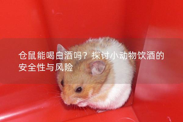 仓鼠能喝白酒吗？探讨小动物饮酒的安全性与风险