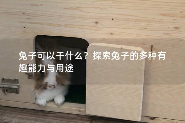 兔子可以干什么？探索兔子的多种有趣能力与用途