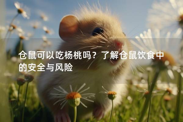 仓鼠可以吃杨桃吗？了解仓鼠饮食中的安全与风险