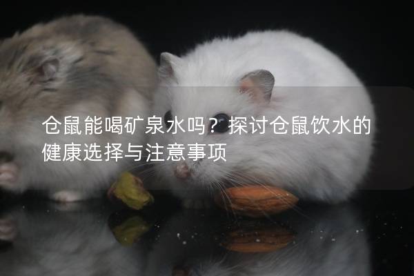 仓鼠能喝矿泉水吗？探讨仓鼠饮水的健康选择与注意事项
