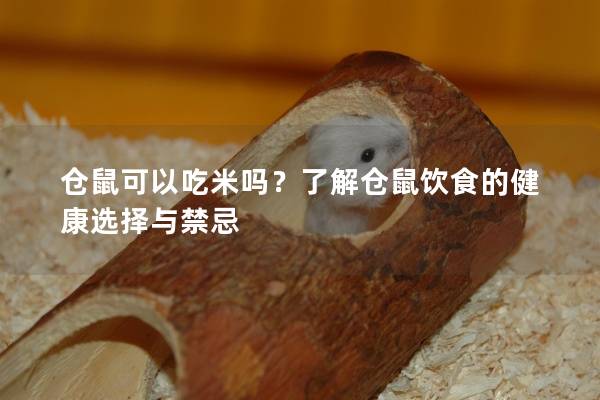 仓鼠可以吃米吗？了解仓鼠饮食的健康选择与禁忌