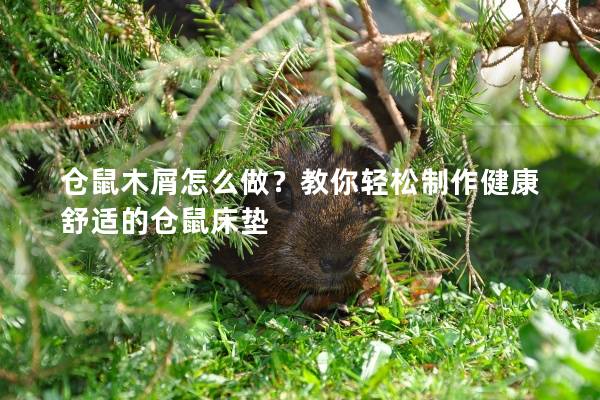 仓鼠木屑怎么做？教你轻松制作健康舒适的仓鼠床垫