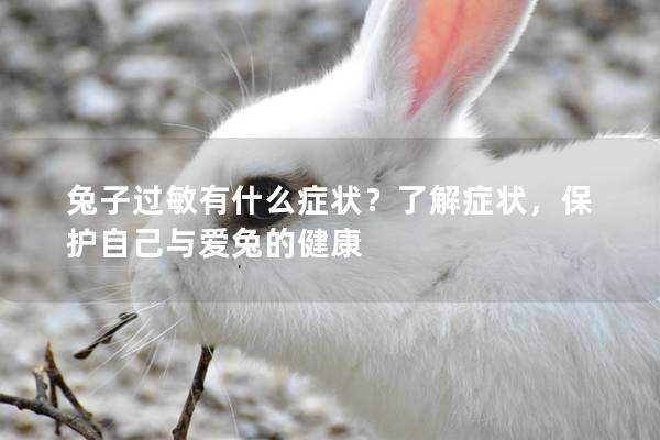 兔子过敏有什么症状？了解症状，保护自己与爱兔的健康