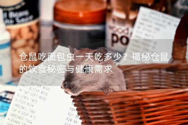 仓鼠吃面包虫一天吃多少？揭秘仓鼠的饮食秘密与健康需求