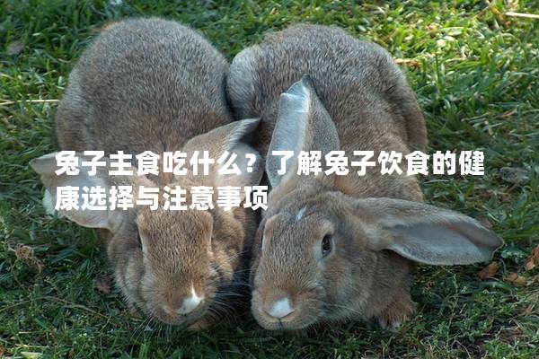 兔子主食吃什么？了解兔子饮食的健康选择与注意事项