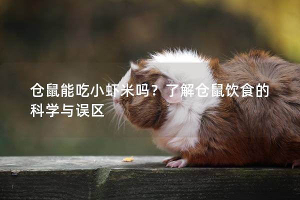 仓鼠能吃小虾米吗？了解仓鼠饮食的科学与误区