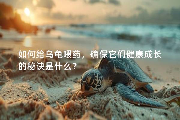 如何给乌龟喂药，确保它们健康成长的秘诀是什么？