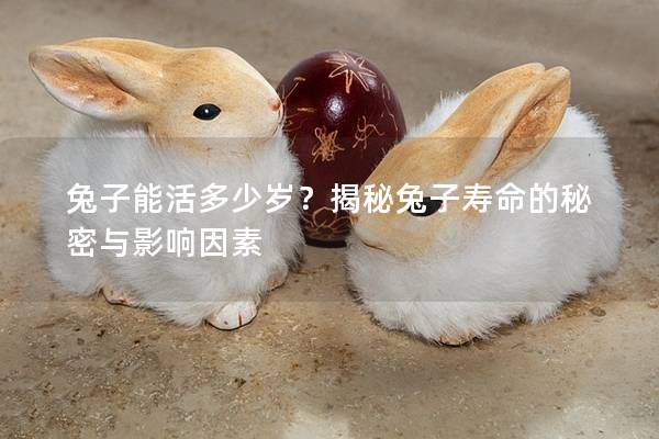 兔子能活多少岁？揭秘兔子寿命的秘密与影响因素