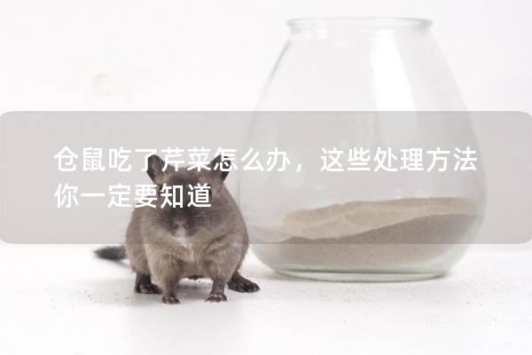 仓鼠吃了芹菜怎么办，这些处理方法你一定要知道