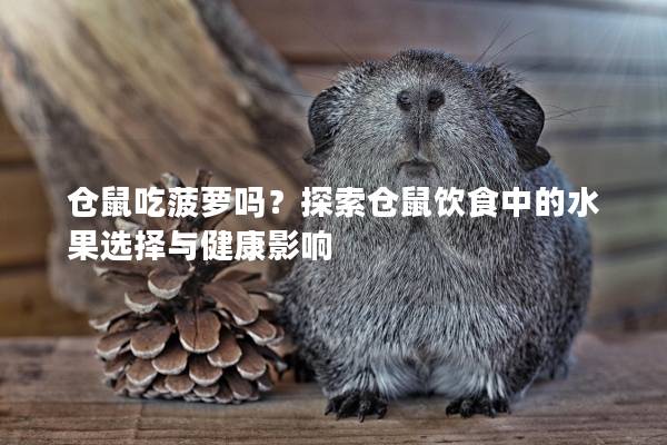 仓鼠吃菠萝吗？探索仓鼠饮食中的水果选择与健康影响