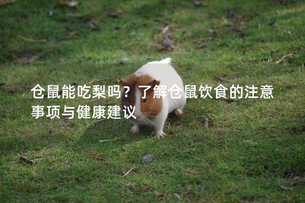 仓鼠能吃梨吗？了解仓鼠饮食的注意事项与健康建议