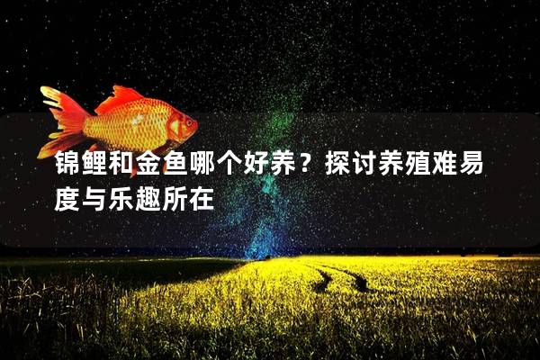 锦鲤和金鱼哪个好养？探讨养殖难易度与乐趣所在