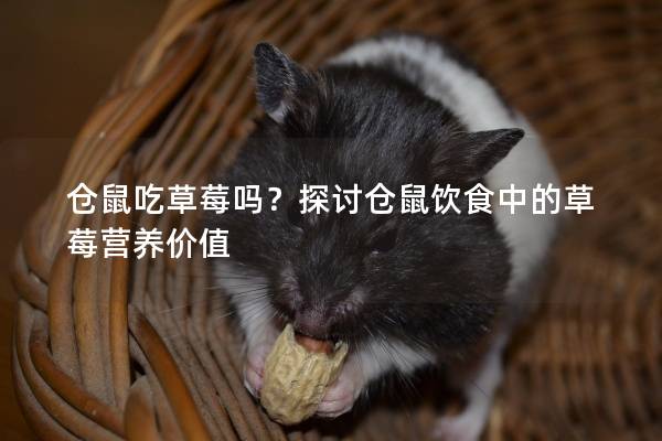仓鼠吃草莓吗？探讨仓鼠饮食中的草莓营养价值