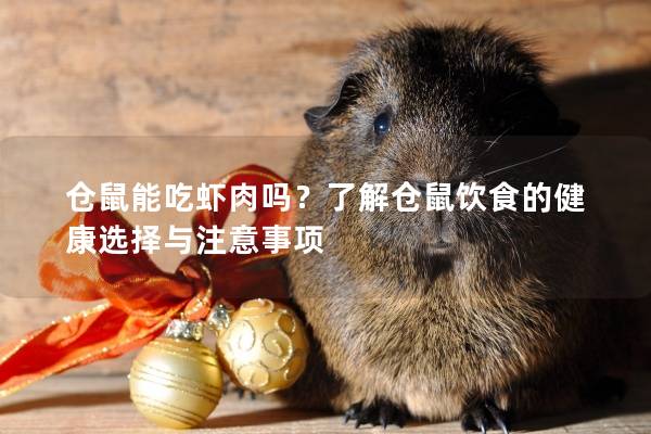 仓鼠能吃虾肉吗？了解仓鼠饮食的健康选择与注意事项