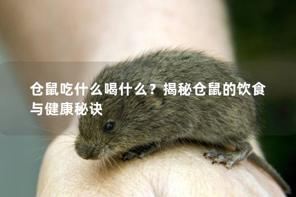 仓鼠吃什么喝什么？揭秘仓鼠的饮食与健康秘诀