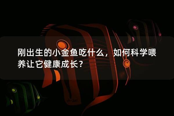 刚出生的小金鱼吃什么，如何科学喂养让它健康成长？