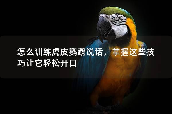 怎么训练虎皮鹦鹉说话，掌握这些技巧让它轻松开口