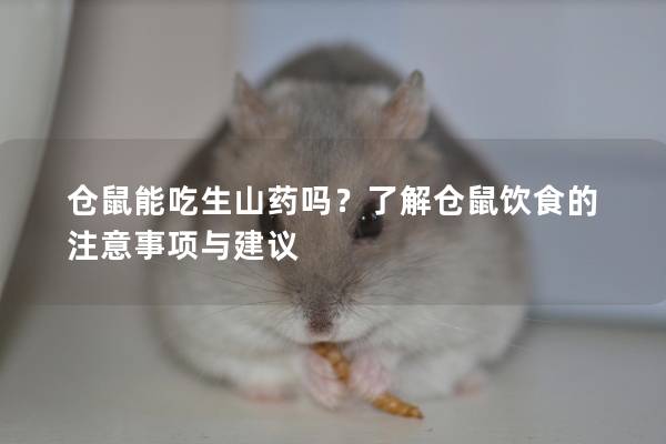 仓鼠能吃生山药吗？了解仓鼠饮食的注意事项与建议