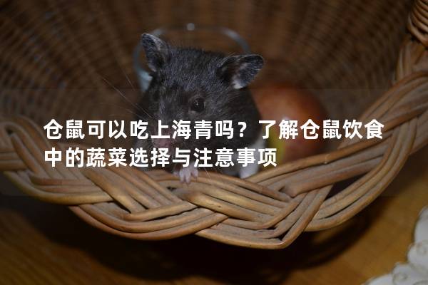 仓鼠可以吃上海青吗？了解仓鼠饮食中的蔬菜选择与注意事项