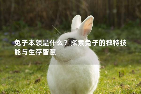 兔子本领是什么？探索兔子的独特技能与生存智慧