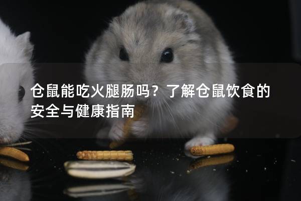 仓鼠能吃火腿肠吗？了解仓鼠饮食的安全与健康指南
