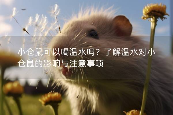 小仓鼠可以喝温水吗？了解温水对小仓鼠的影响与注意事项
