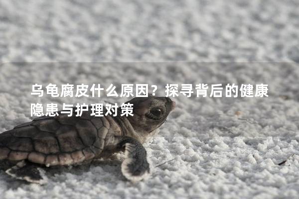 乌龟腐皮什么原因？探寻背后的健康隐患与护理对策