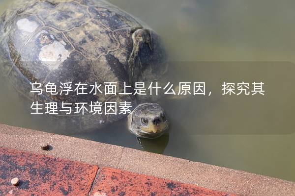 乌龟浮在水面上是什么原因，探究其生理与环境因素