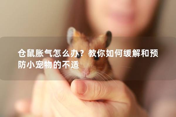 仓鼠胀气怎么办？教你如何缓解和预防小宠物的不适