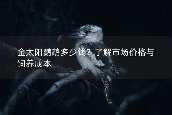 金太阳鹦鹉多少钱？了解市场价格与饲养成本