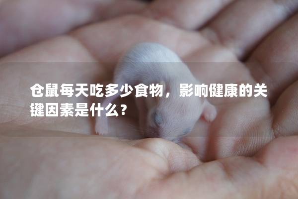 仓鼠每天吃多少食物，影响健康的关键因素是什么？